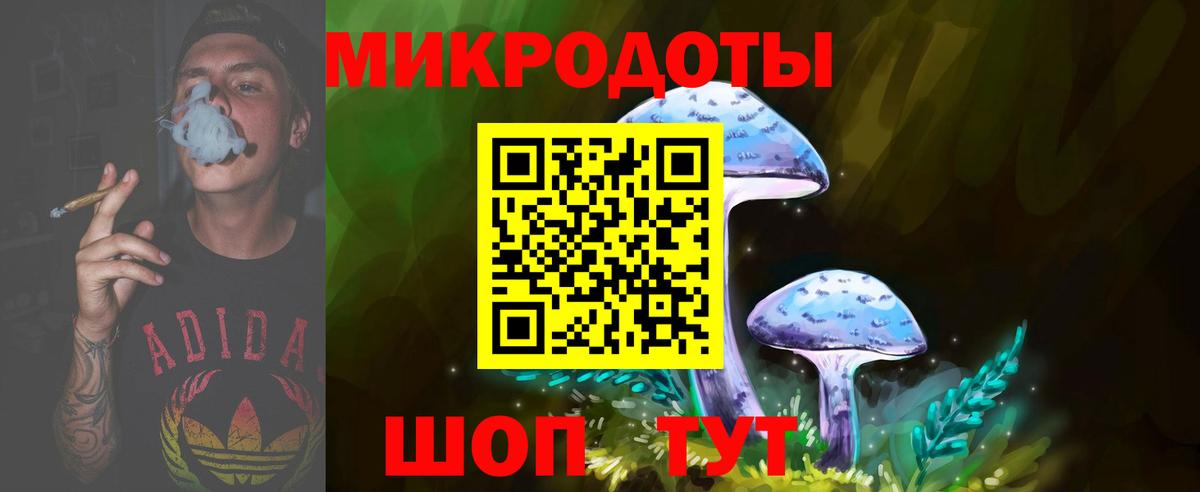 Галлюциногенные грибы Psilocybe Кузнецк